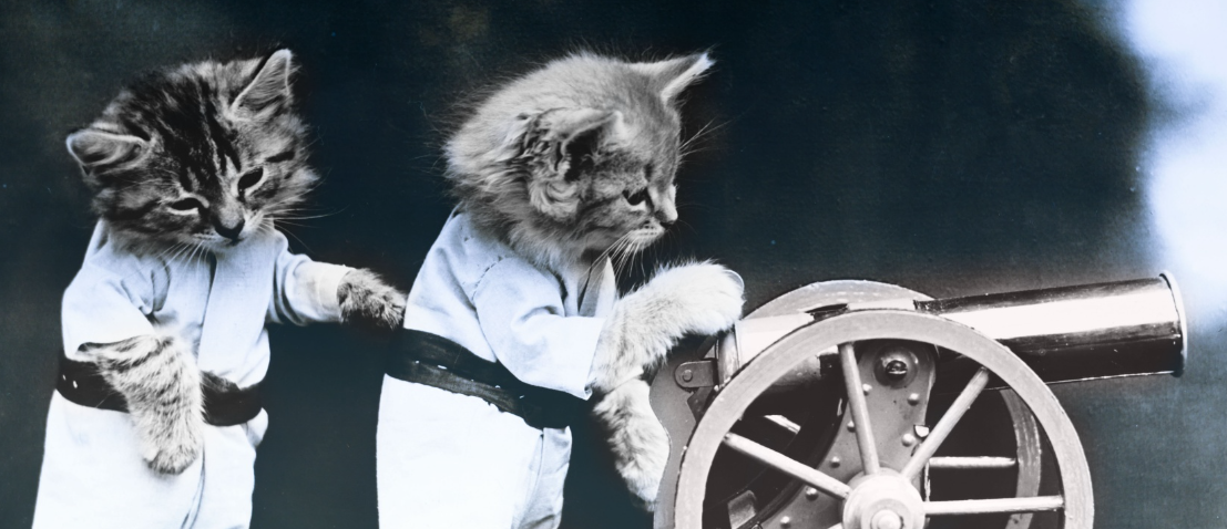 Cats firing a cannon