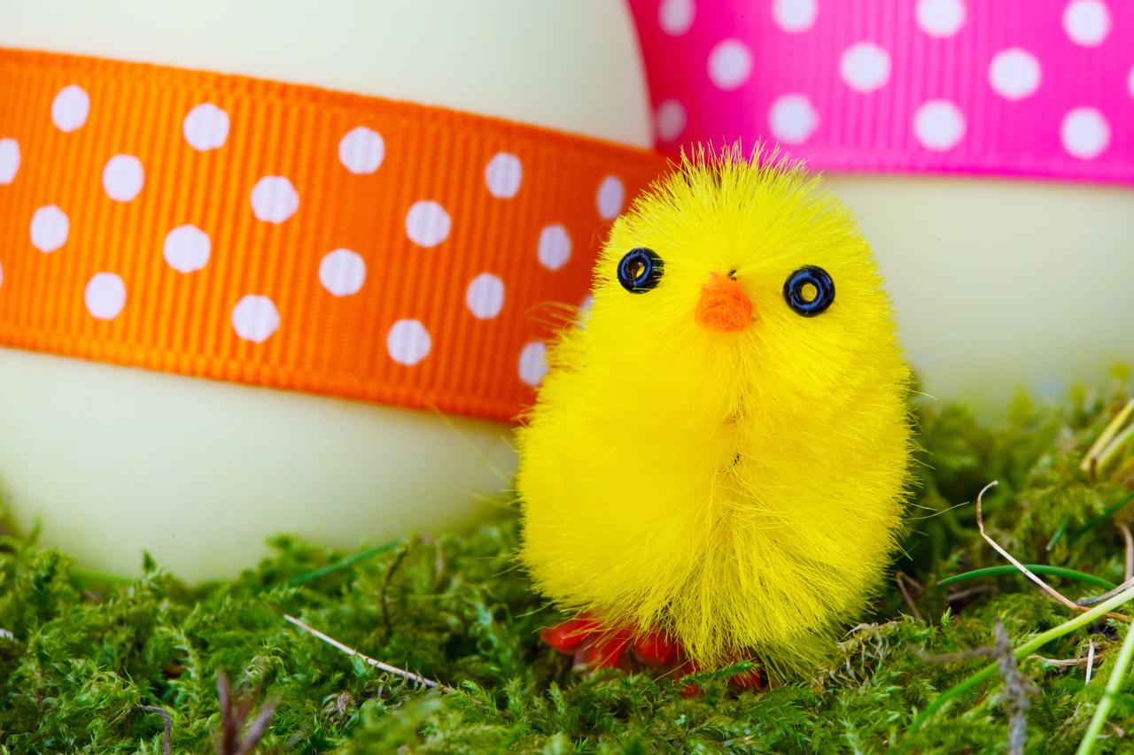 Hire funfair and fairground rides over Easter Easter funfair and fairground ride hire