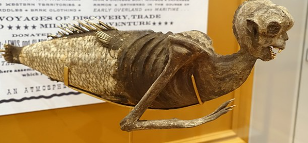 A papier-mache mermaid The Feejee Mermaid