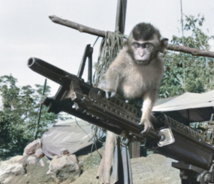 Monkey with a gun
